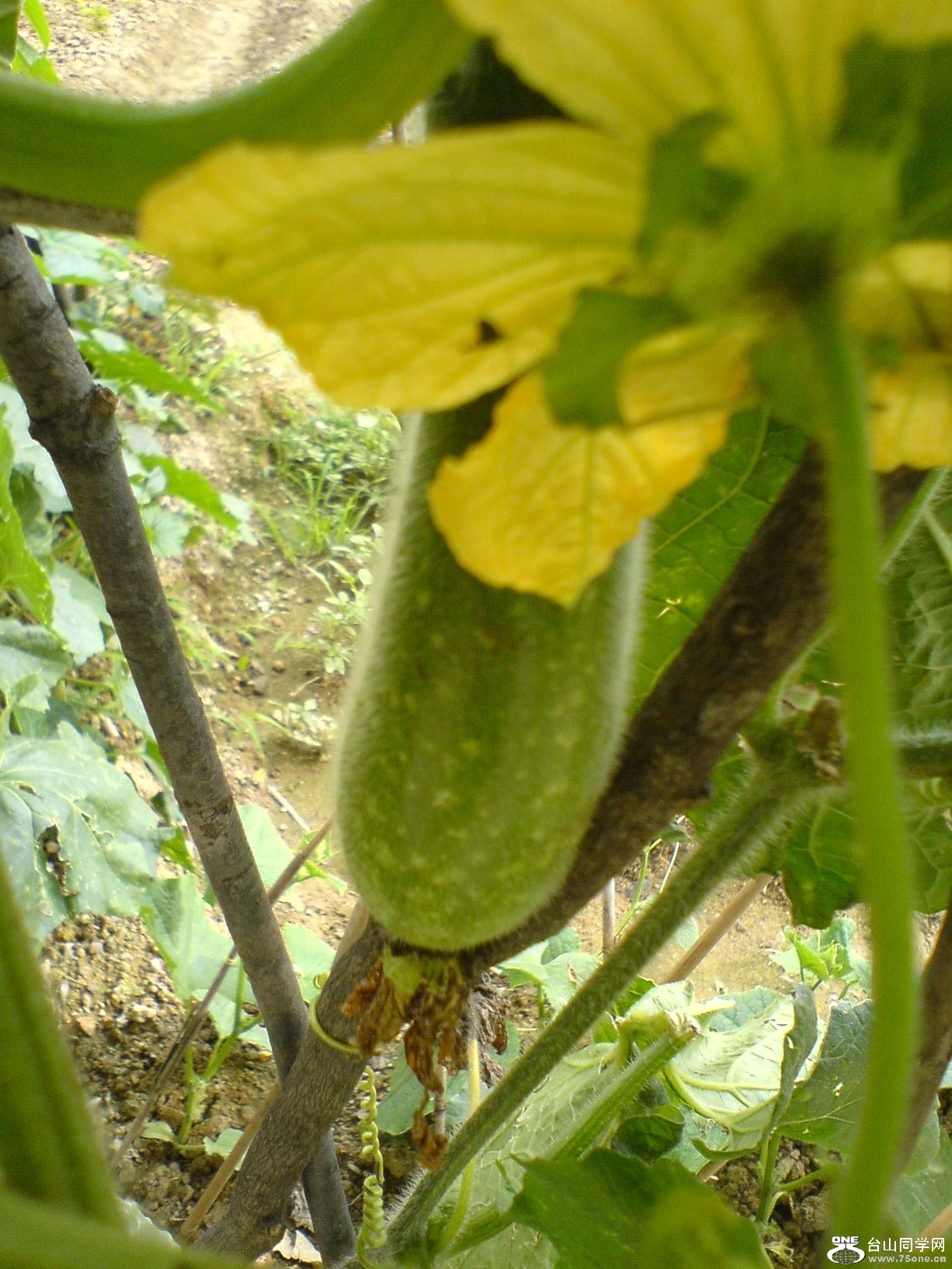DSC05700.JPG