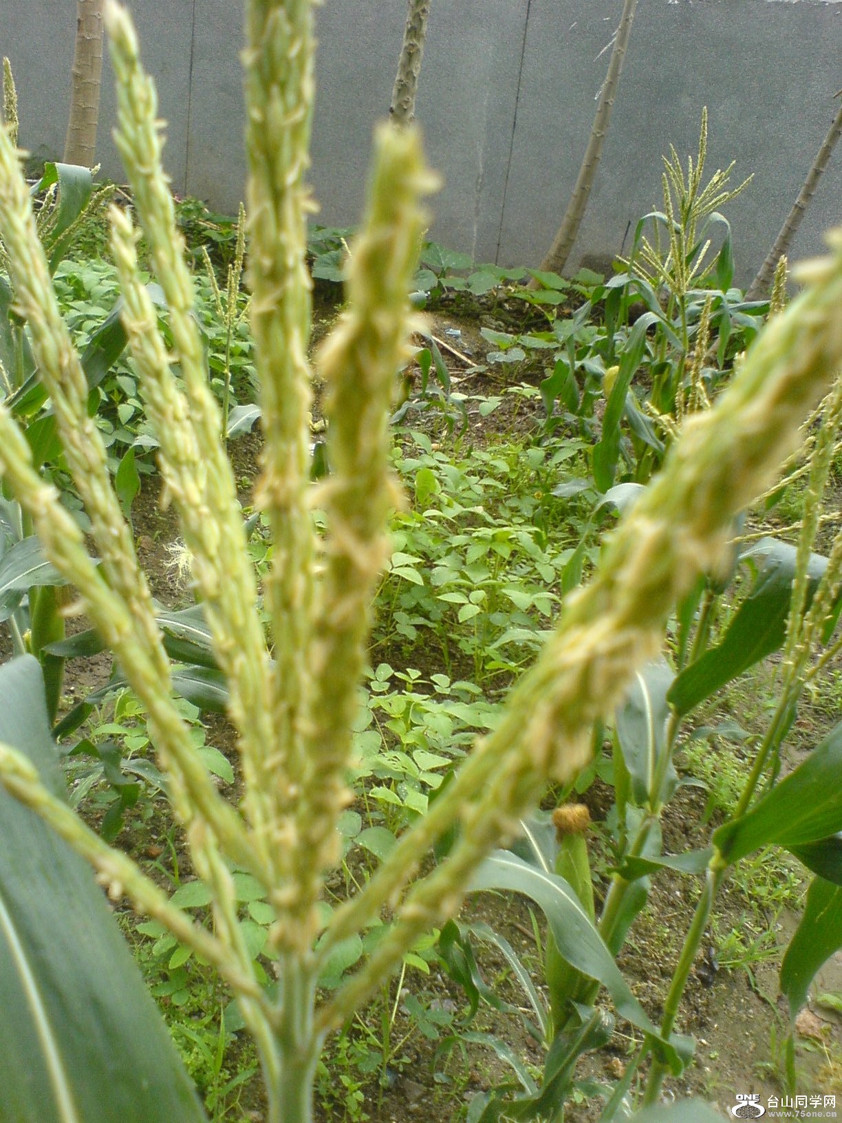 DSC05708.JPG