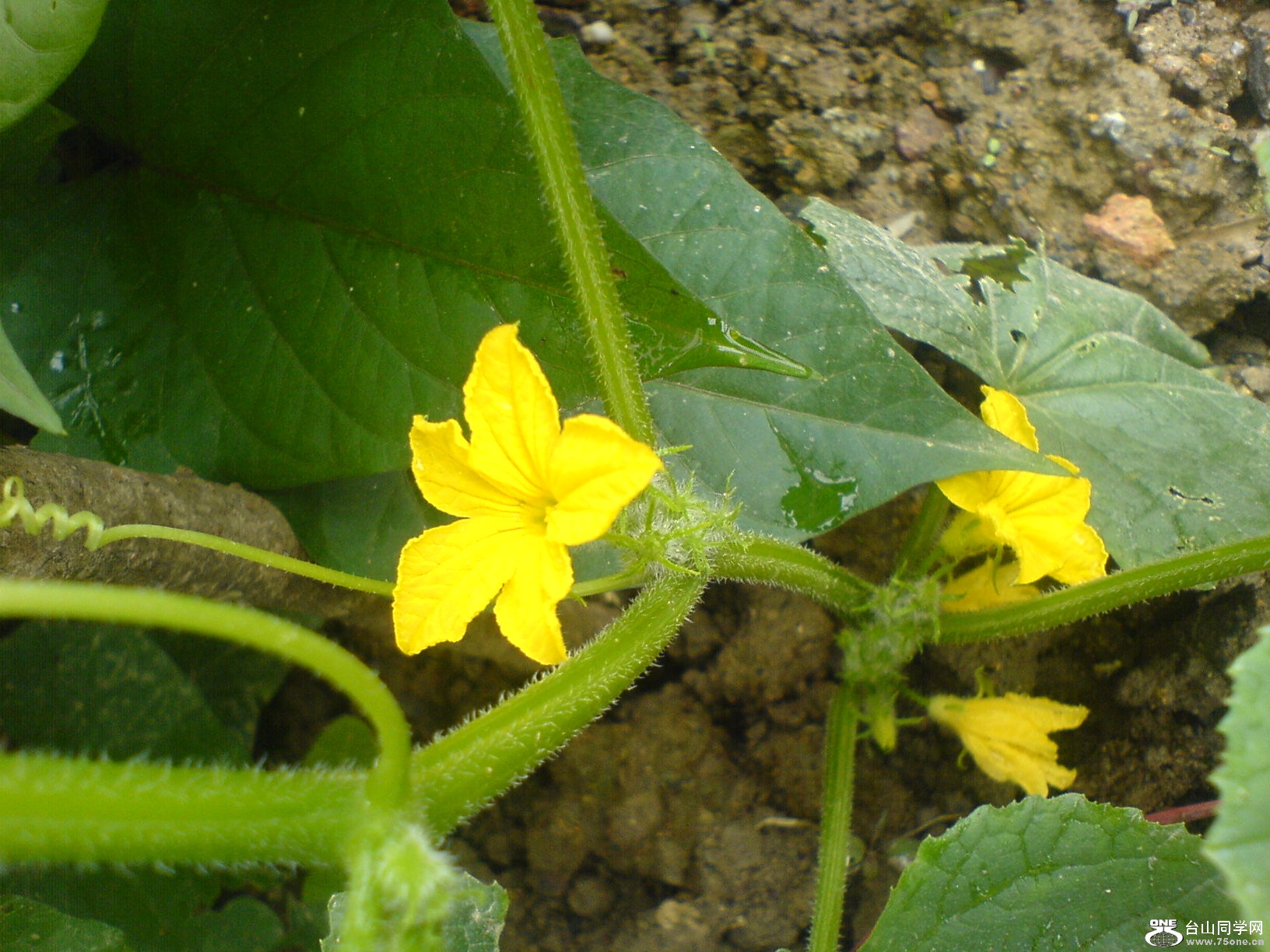 DSC05713.JPG
