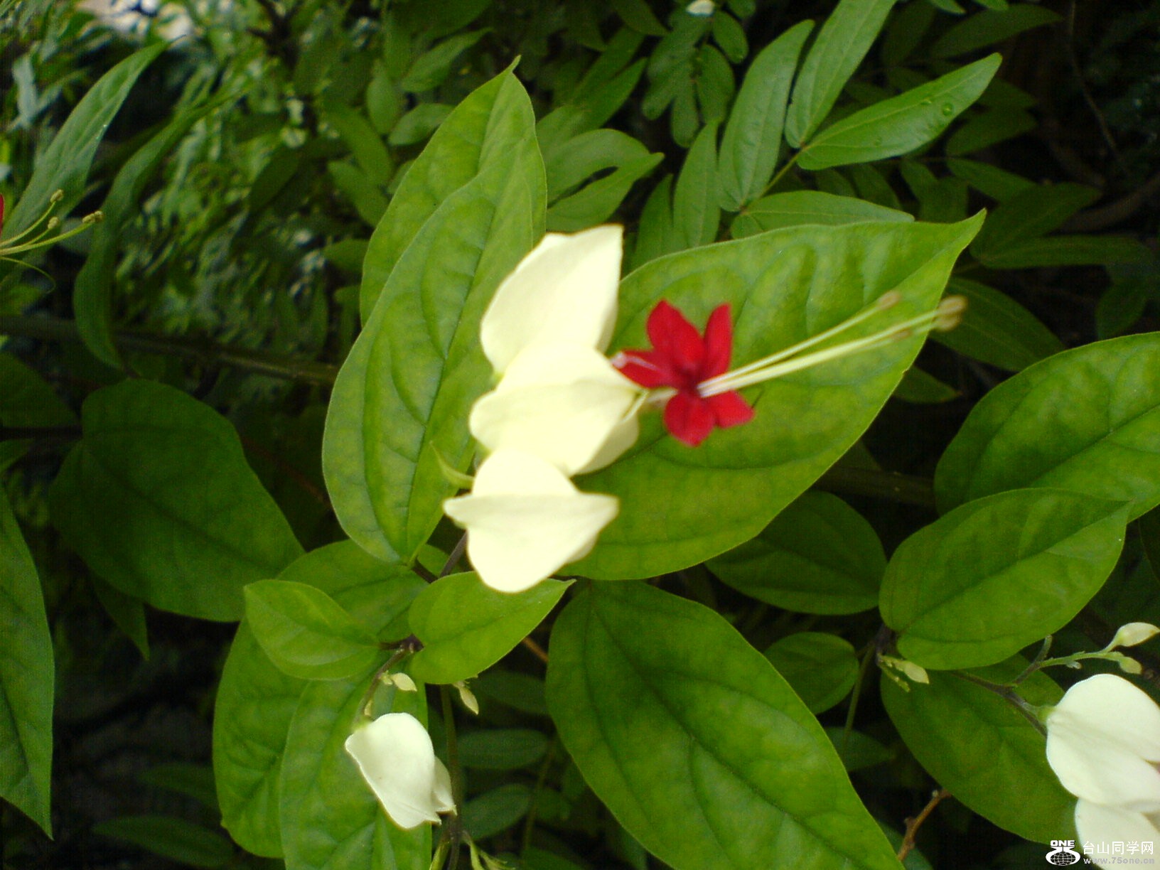 DSC05894.JPG