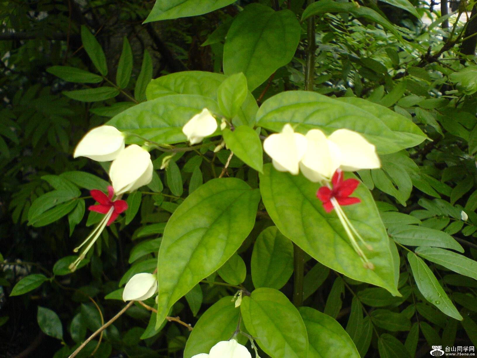 DSC05887.JPG