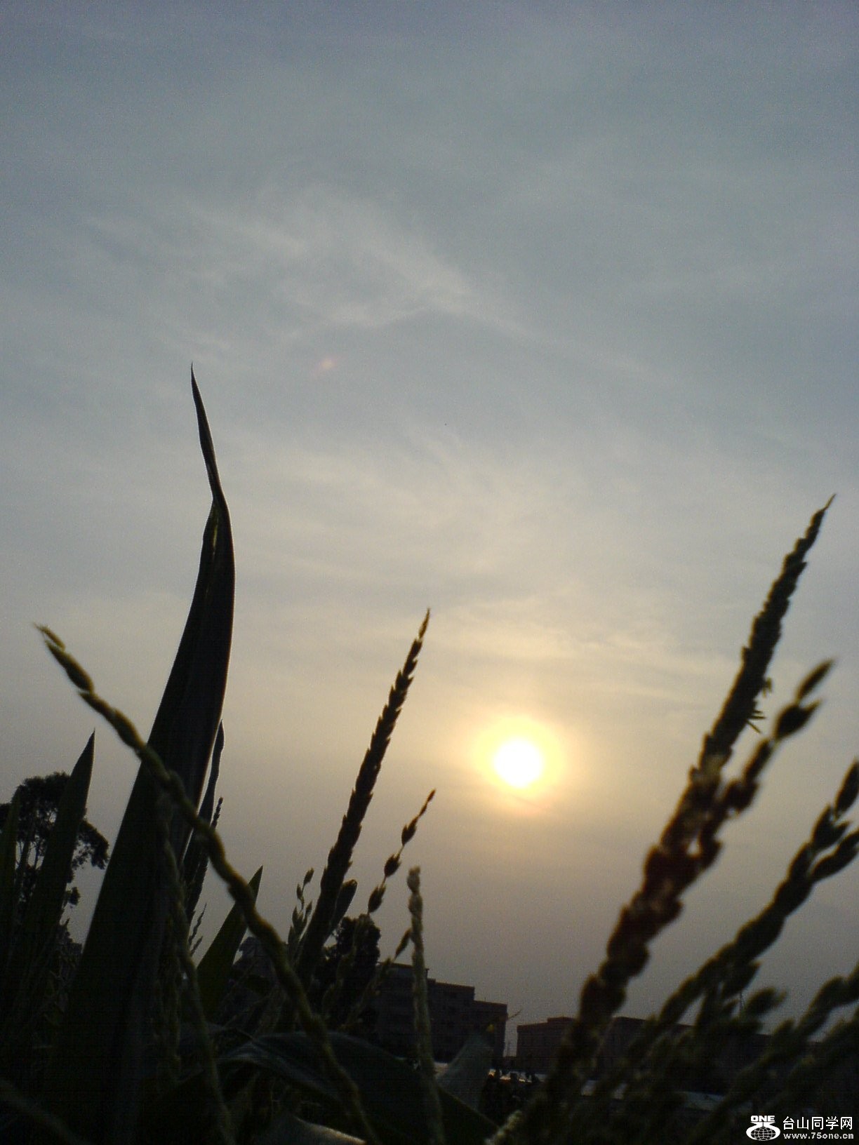 DSC05872.JPG