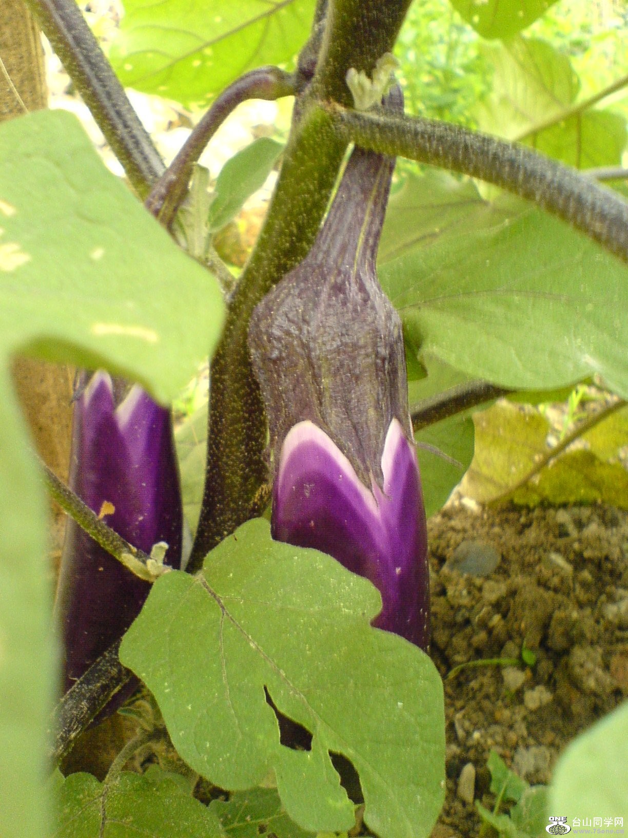 DSC05792.JPG