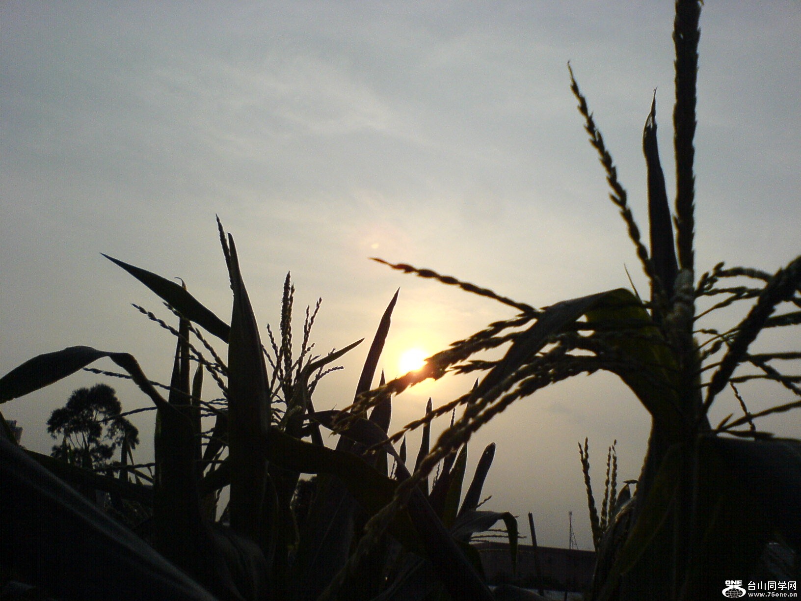 DSC05863.JPG