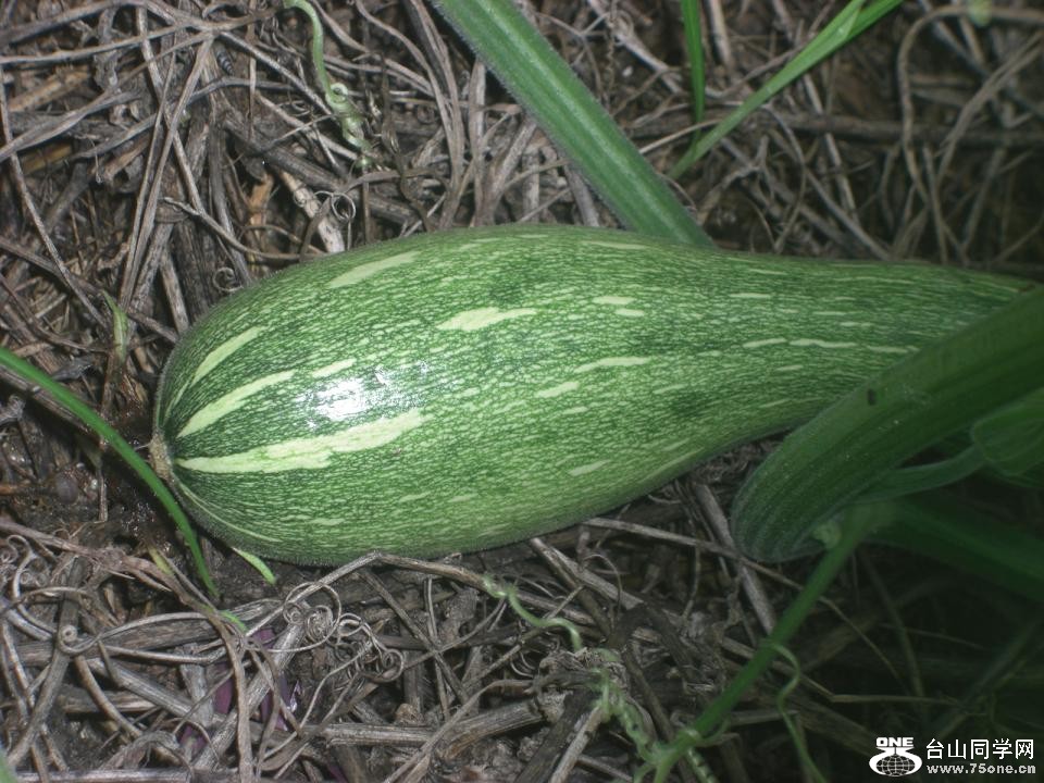 CIMG5553.JPG