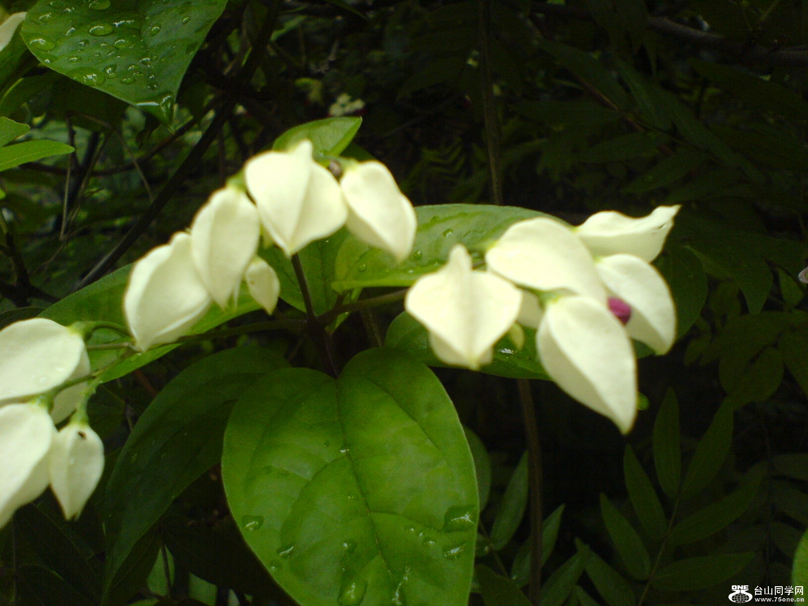 DSC05893.JPG
