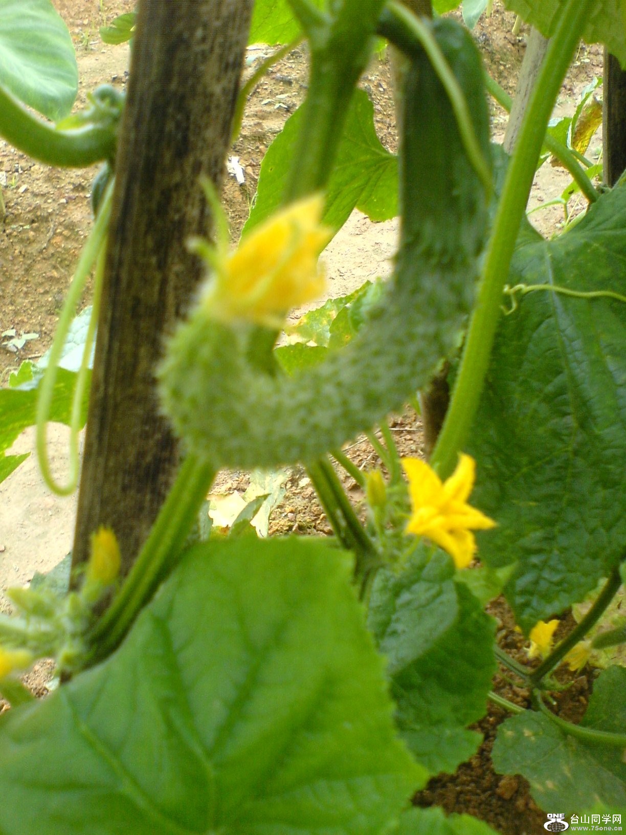 DSC05728.JPG