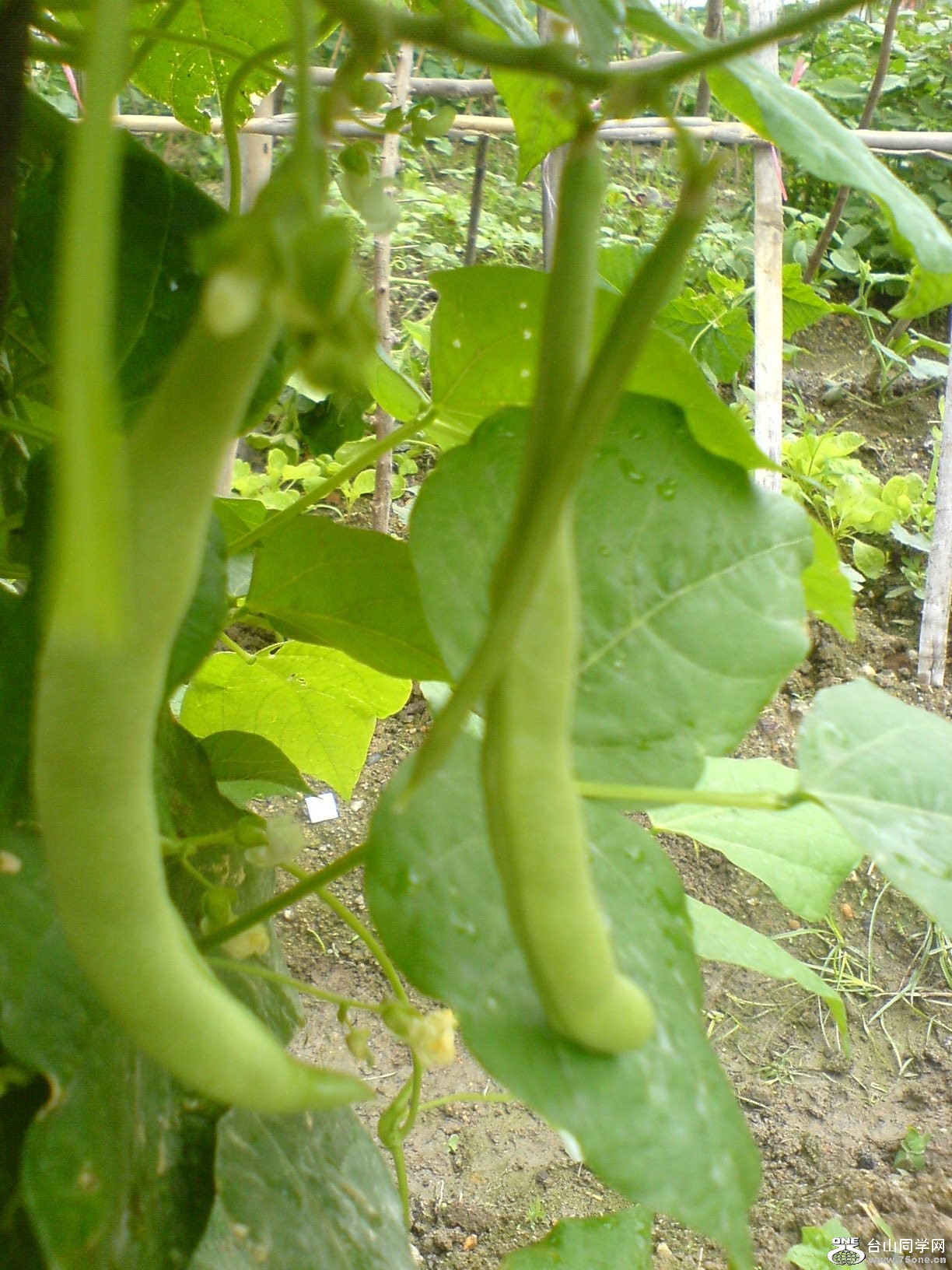 DSC05717.JPG