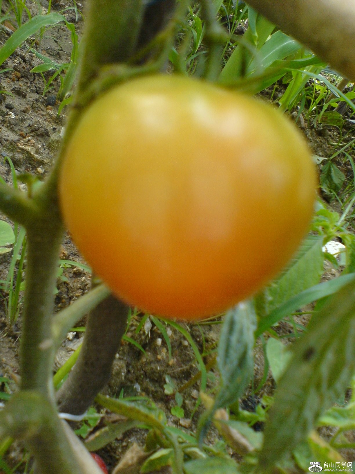 DSC05883.JPG