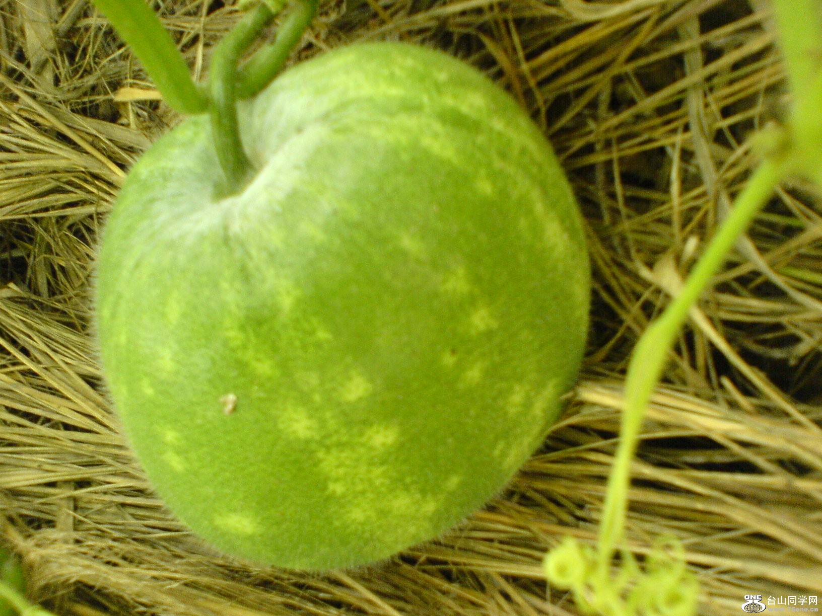 DSC05786.JPG