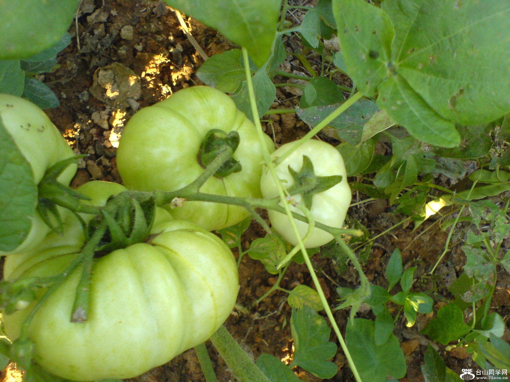 DSC05826.JPG