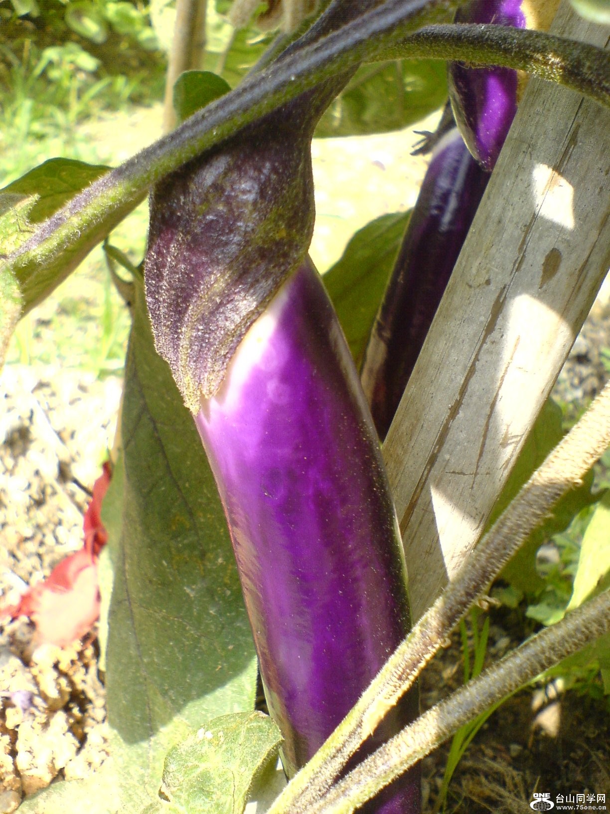 DSC05704.JPG