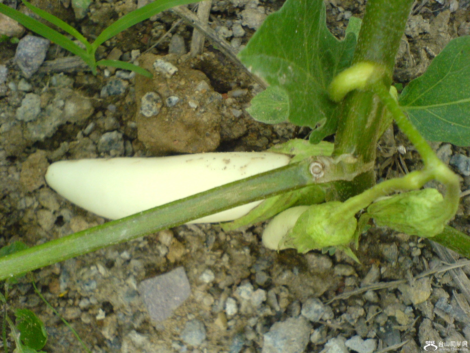 DSC05776.JPG
