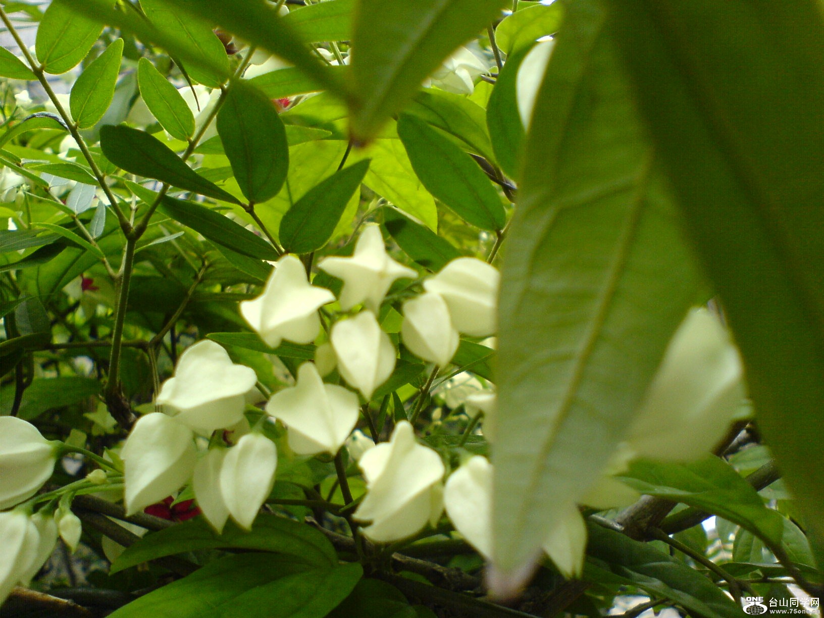 DSC05889.JPG