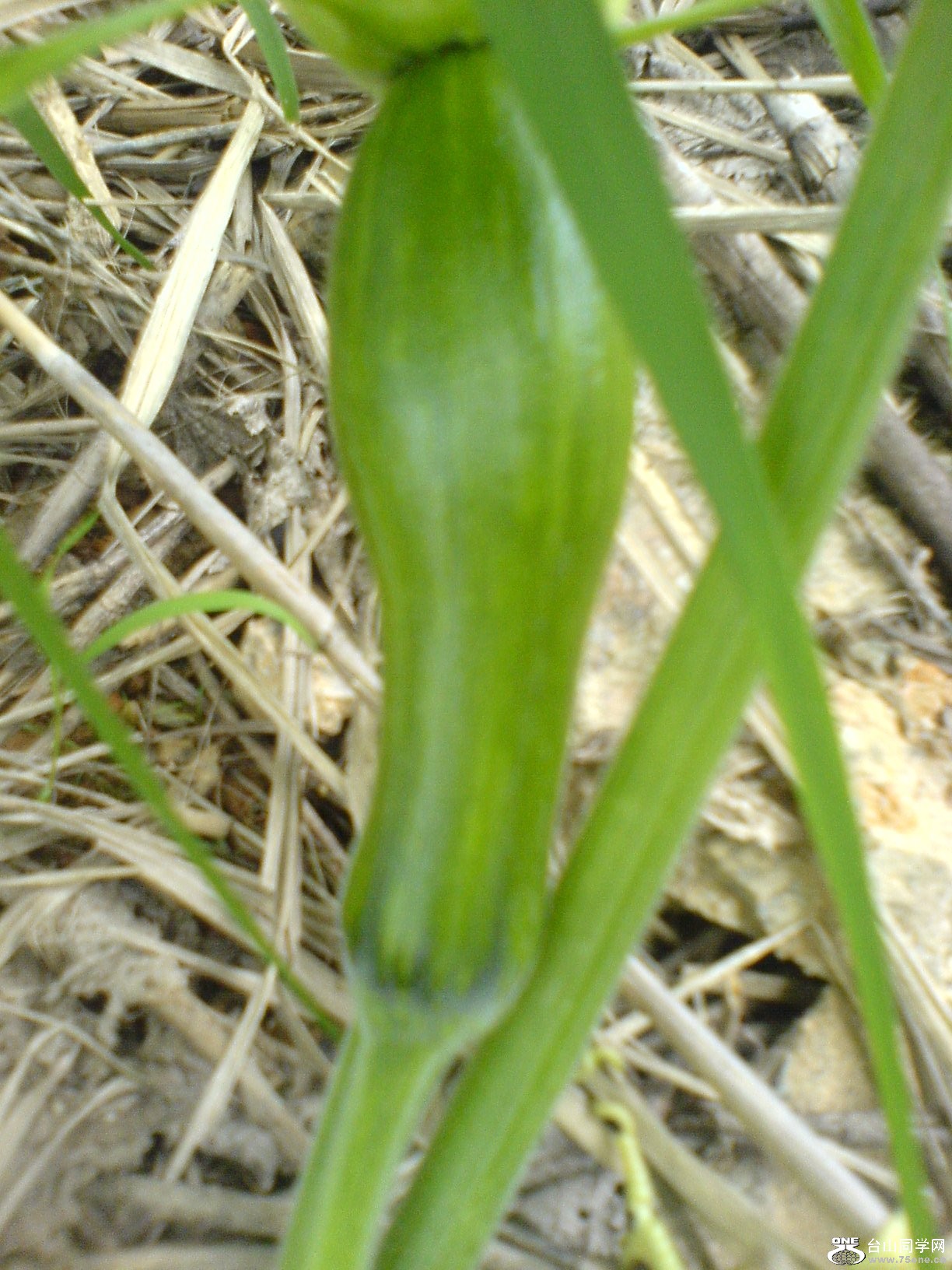 DSC05755.JPG