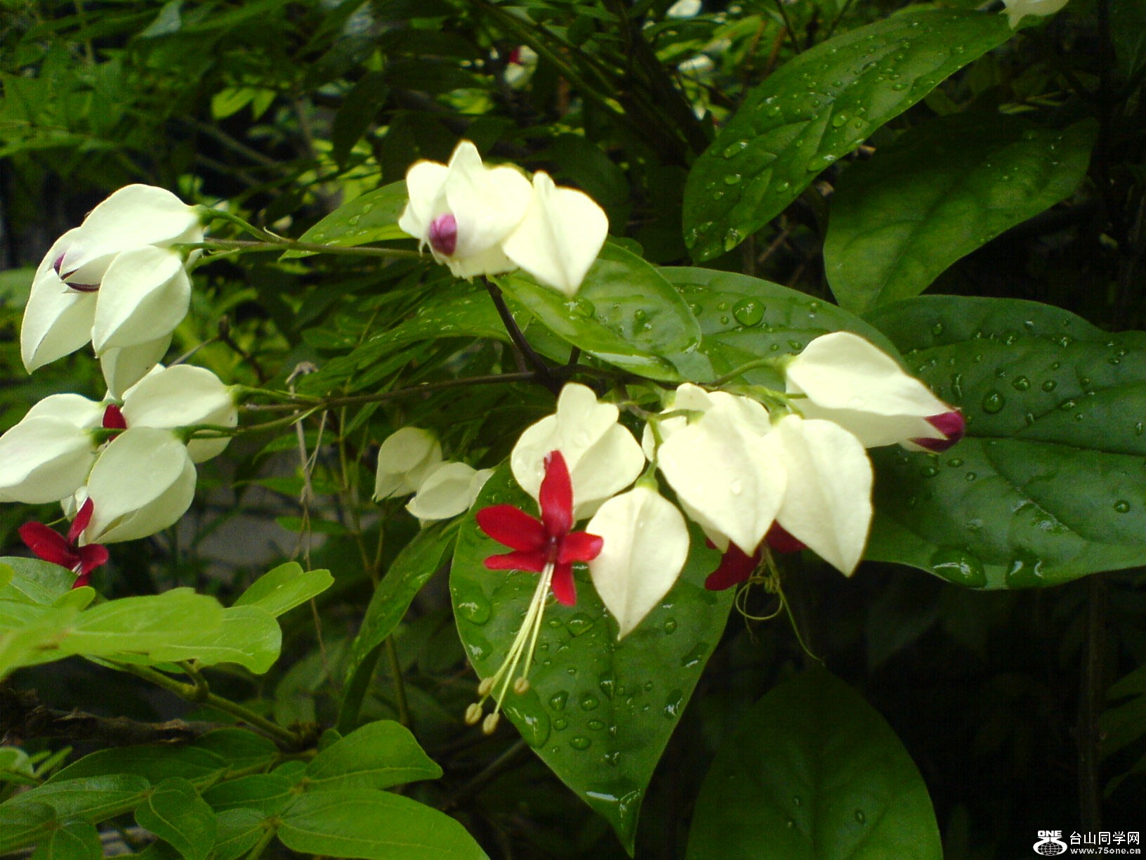 DSC05890.JPG