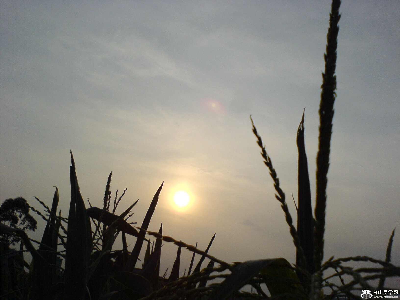DSC05864.JPG
