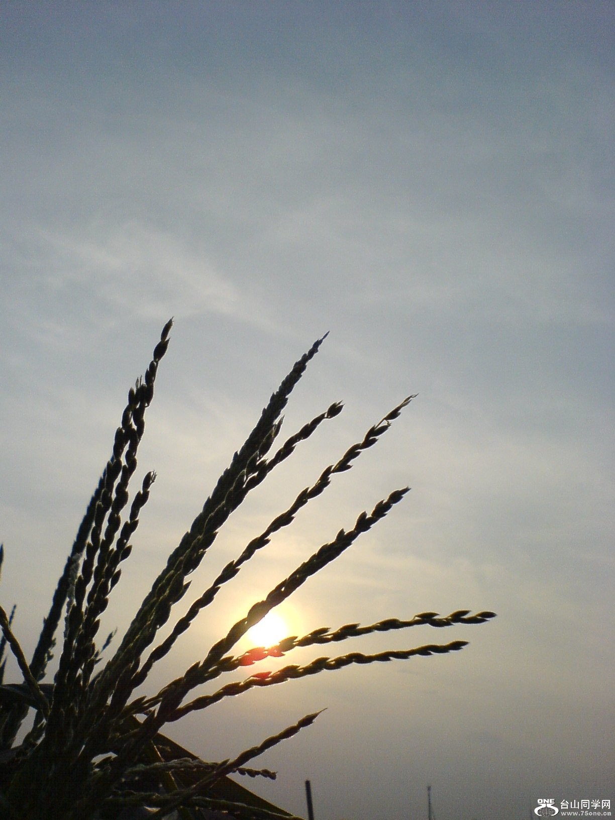 DSC05871.JPG