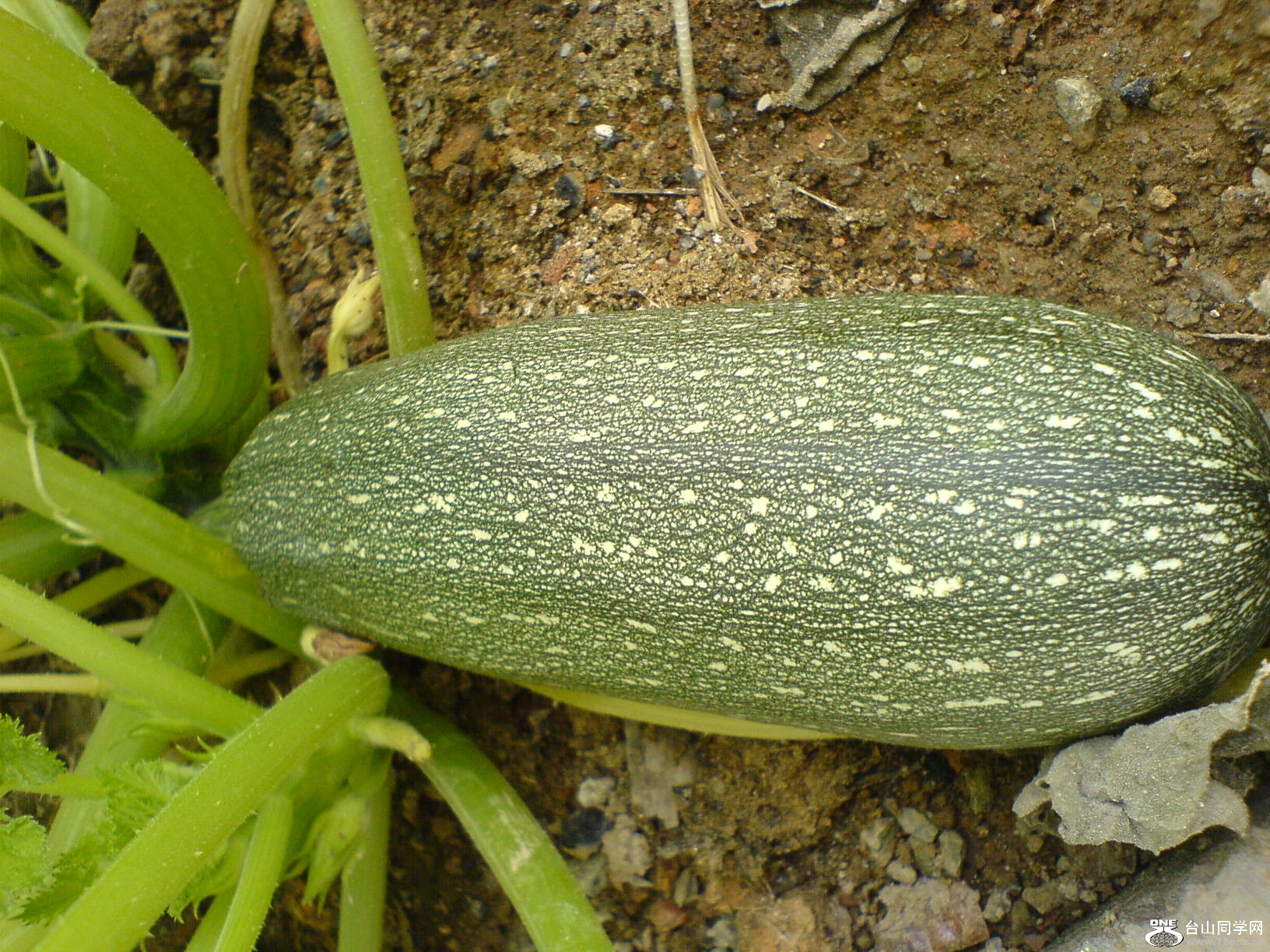 DSC05695.JPG