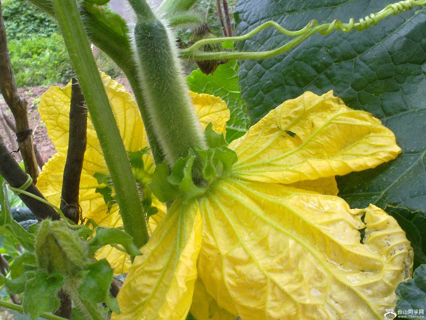 20110430023.jpg