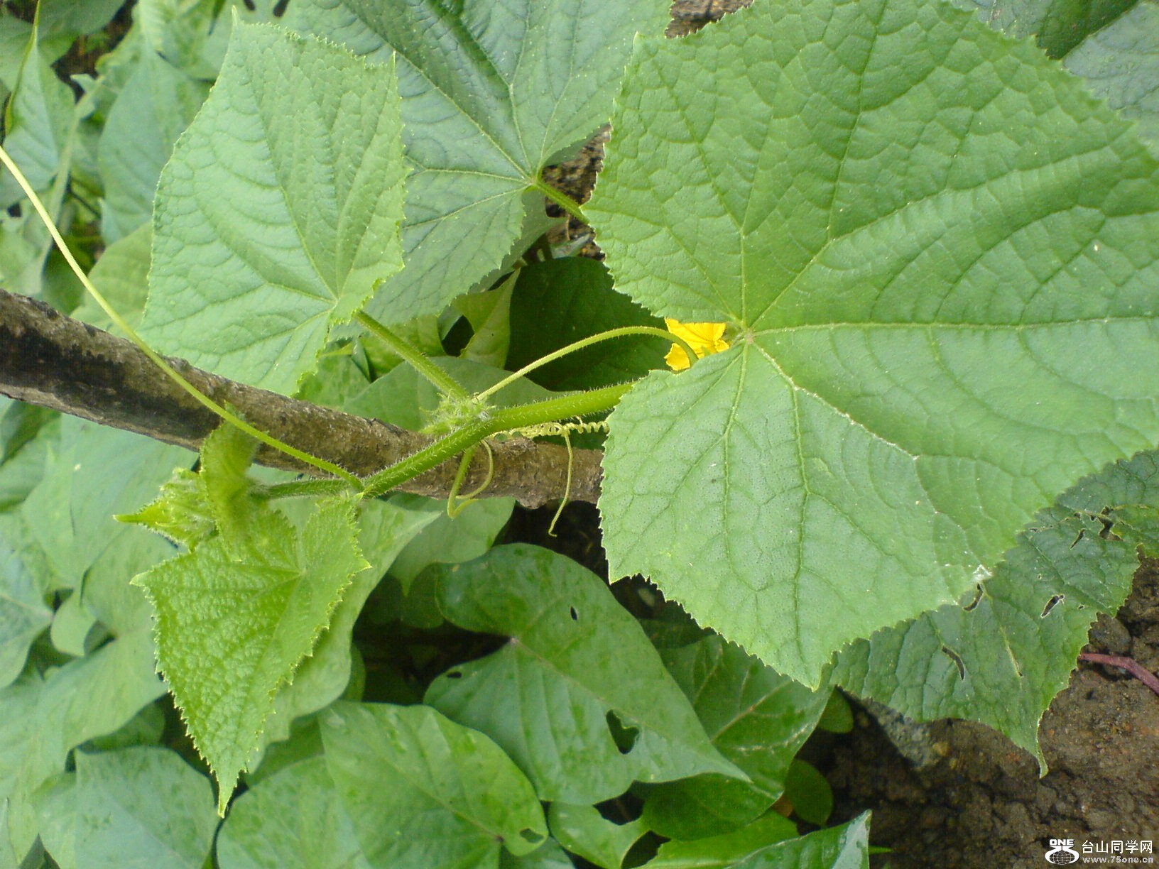 DSC05714.JPG