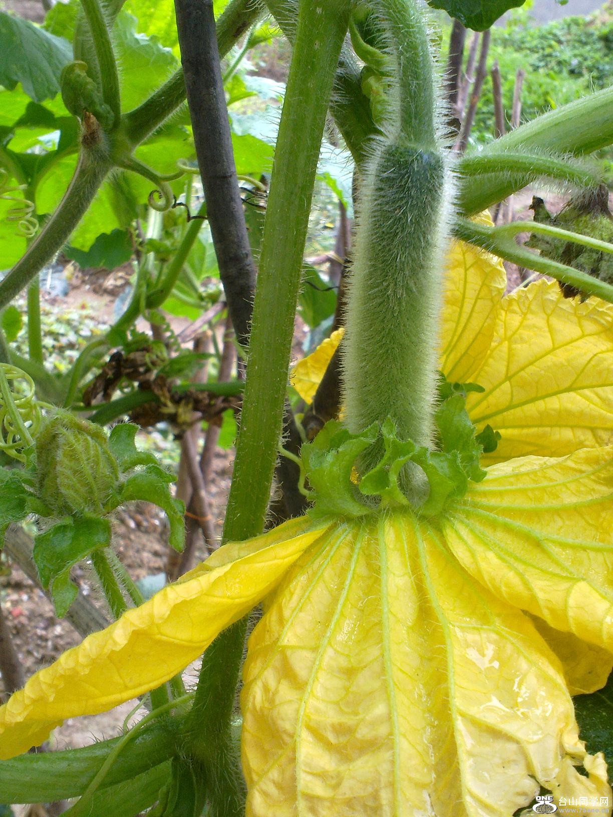 20110430024.jpg