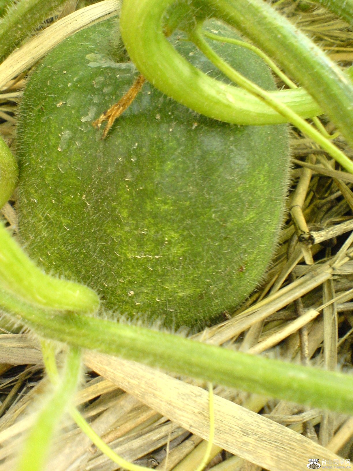 DSC05790.JPG