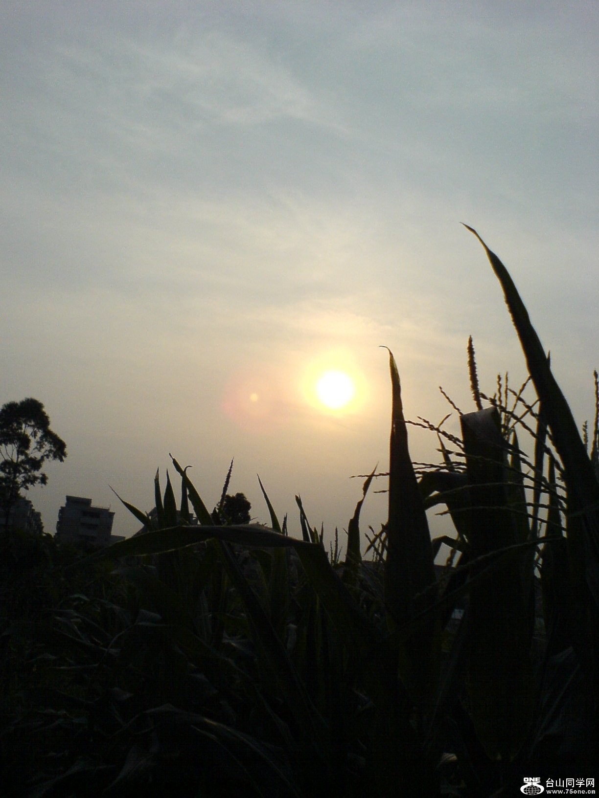 DSC05866.JPG