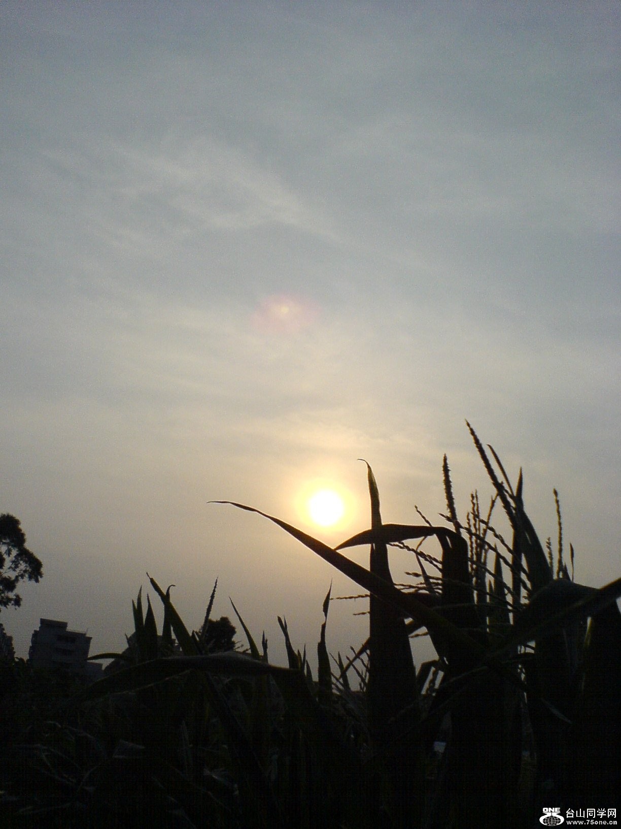 DSC05867.JPG