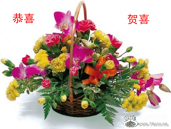 201033161533_.gif