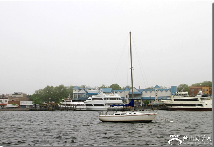 IMG_1692.jpg