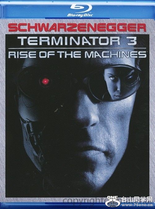 terminator3.jpg
