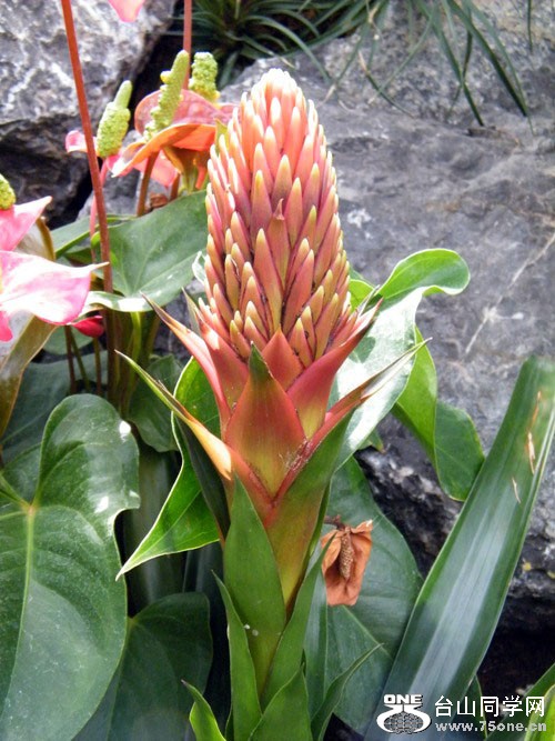 DSCF4422.jpg