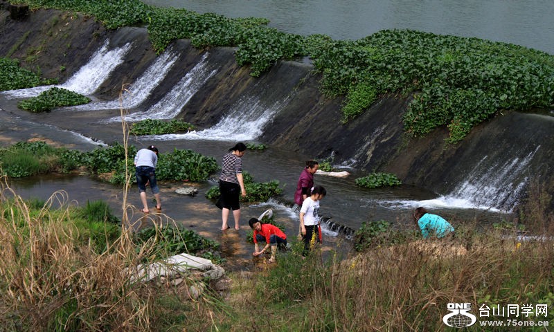 IMG_6374.jpg