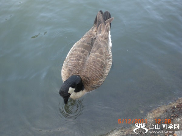 2011_05120203.JPG
