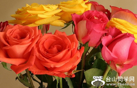 flowers_large.jpg