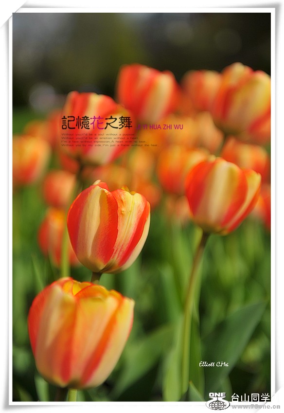 d3m_7554_.jpg