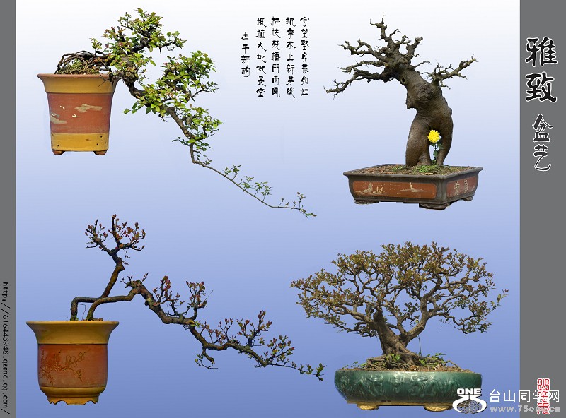 辰.jpg