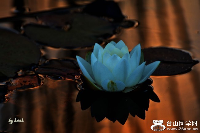 DSC_5536_conew2.jpg