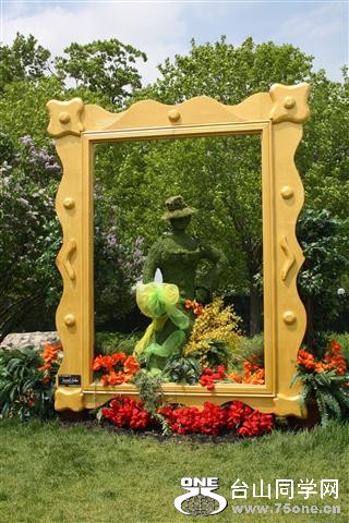 IMG_0348 (Small).JPG