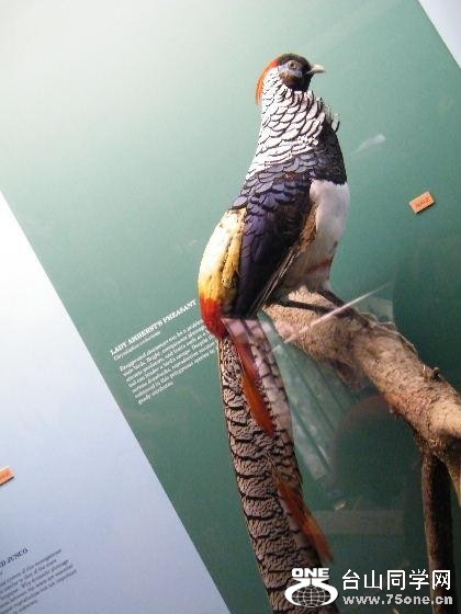 90_3812_a088ed154a16cd2.jpg