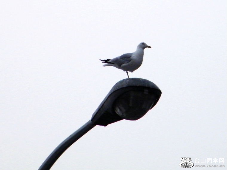 110.jpg