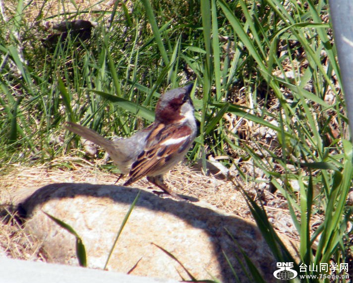 DSCF9065.JPG