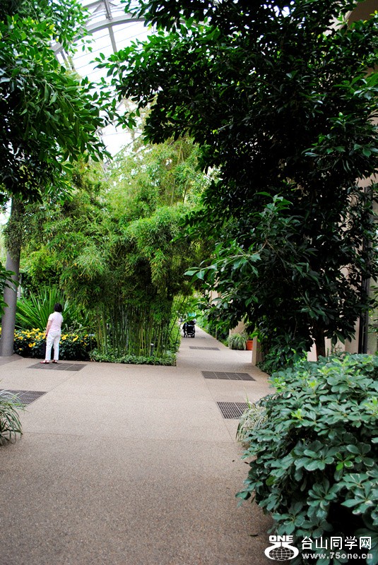 Picture 241_.jpg