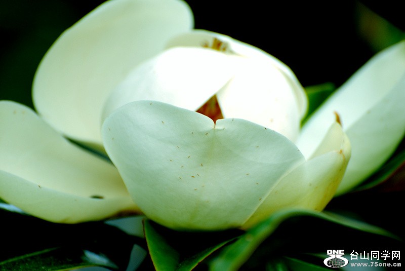 Picture 345_.jpg