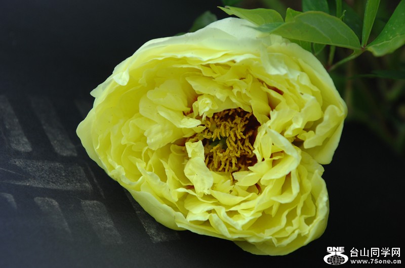 DSC_0641.JPG