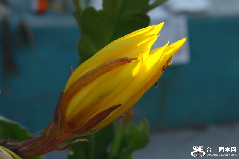 DSC_0778.JPG