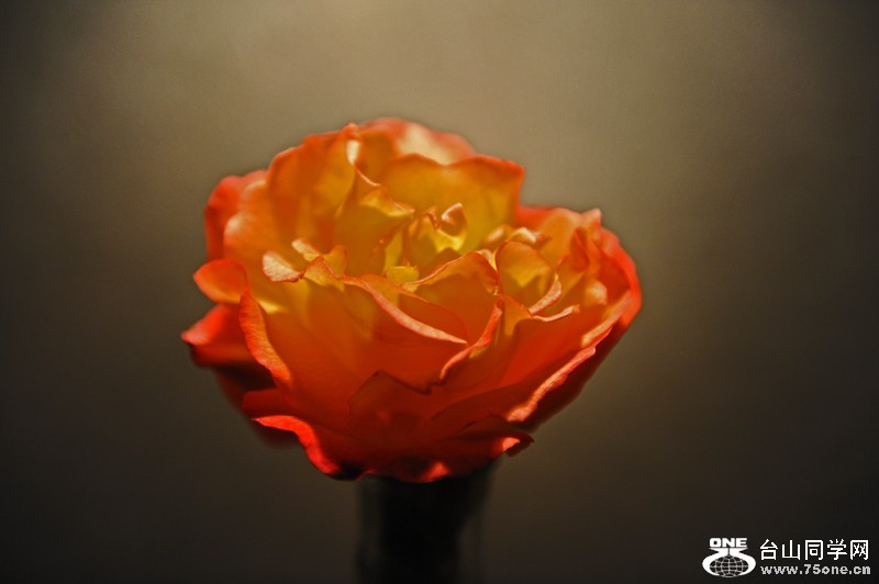 DSC_5072.JPG