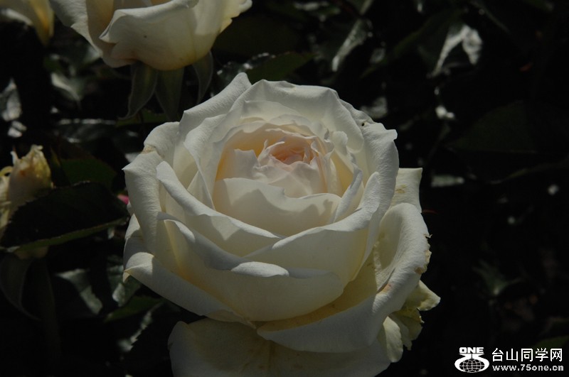 DSC_0763.JPG