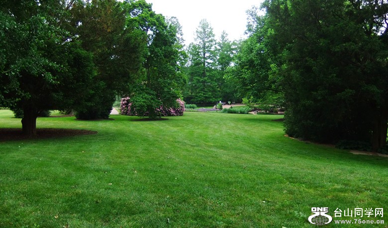 DSCF2458_.jpg